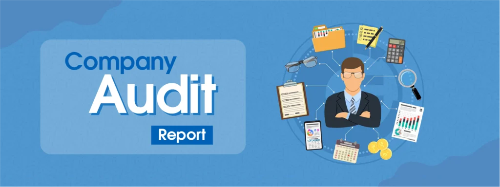 Company Audit report