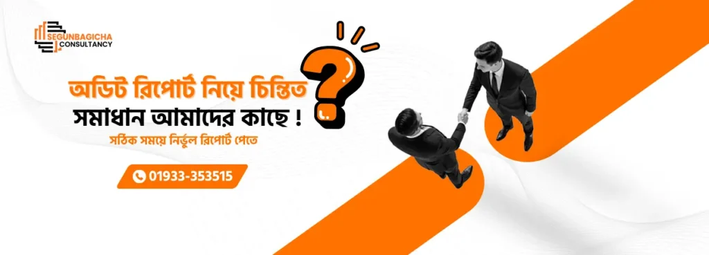 Company Audit Report