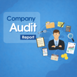 Audit Report