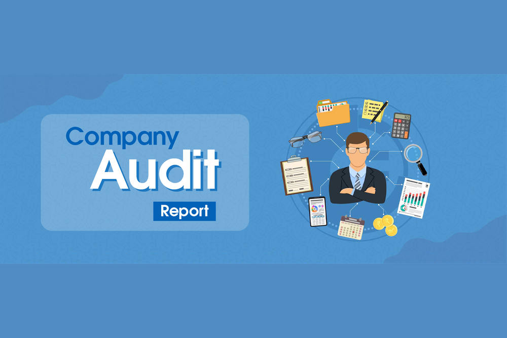 company Audit
